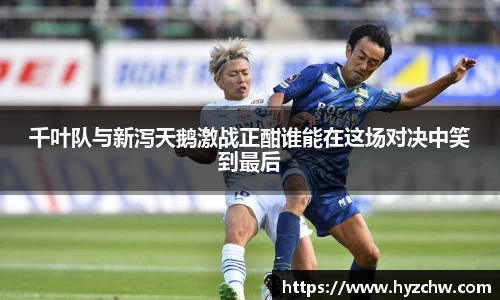 365WM完美体育官网